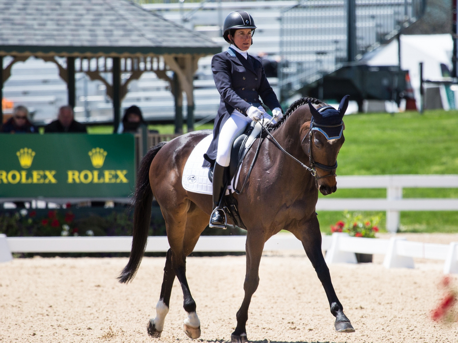 Developed by science, and backed by top trainers and world class riders.