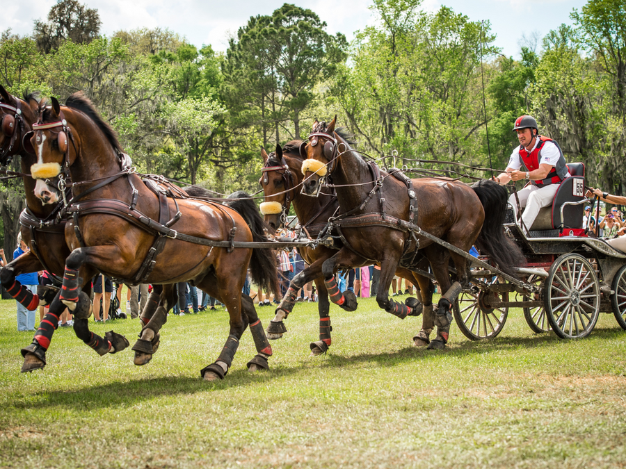 Developed by science, and backed by top trainers and world class riders.