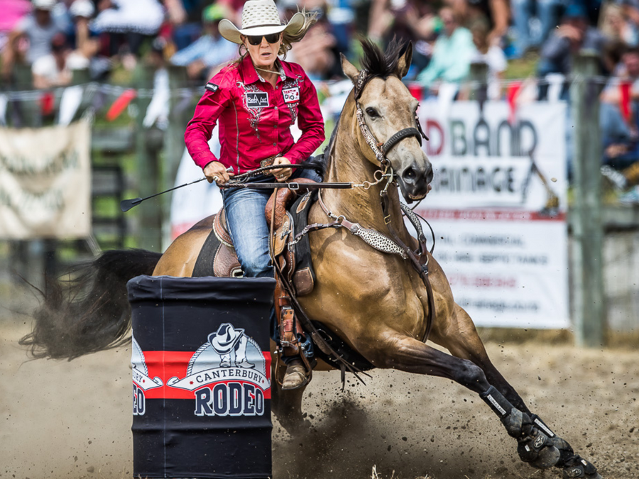 Developed by science, and backed by top trainers and world class riders.