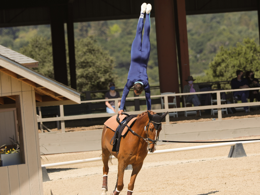 Developed by science, and backed by top trainers and world class riders.