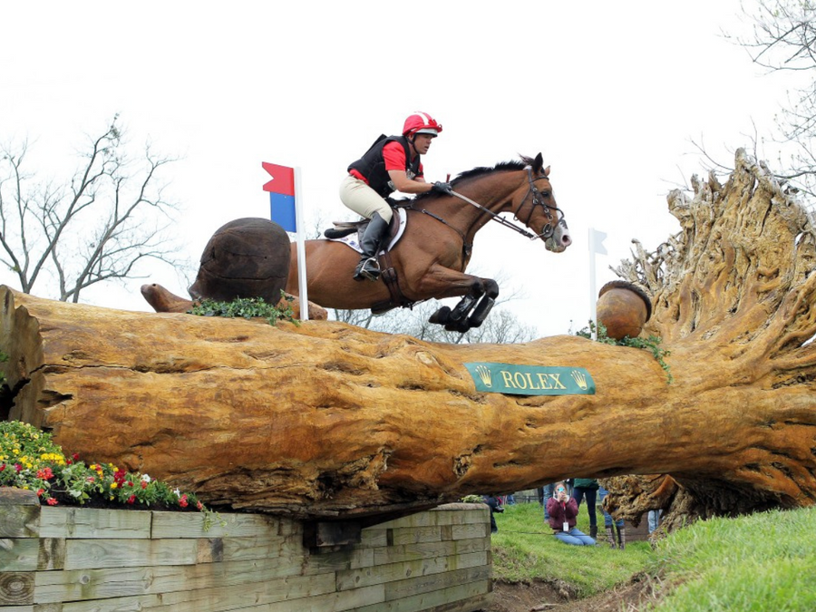 Developed by science, and backed by top trainers and world class riders.