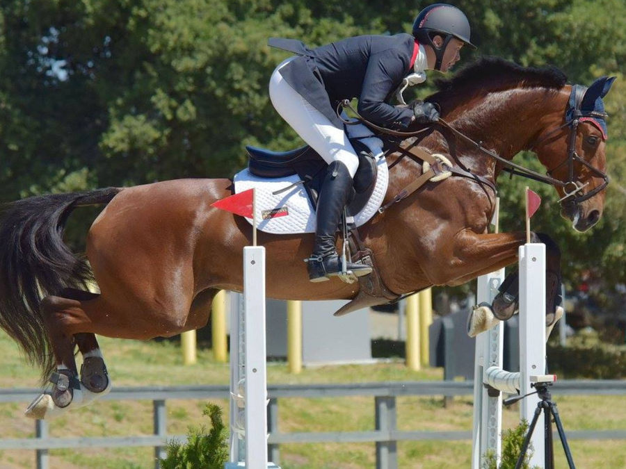 Developed by science, and backed by top trainers and world class riders.