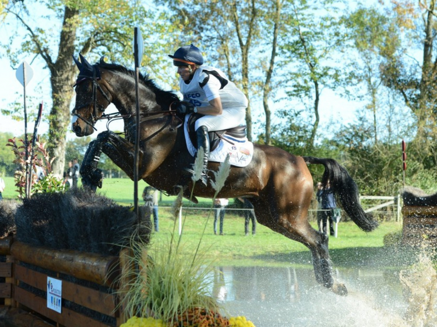 Developed by science, and backed by top trainers and world class riders.