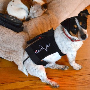 RevitaVet™ Light Therapy – The Perfect Gift For 2 and 4 Legged Creatures!